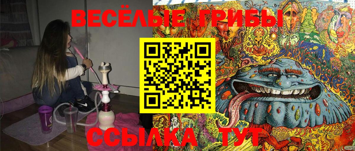Галлюциногенные грибы MAGIC MUSHROOMS  Вход с VPN  Псилоцибиновые грибы ЛСД  купить наркоту  Лыткарино 